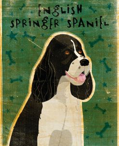 English Springer Spaniel (black and white)