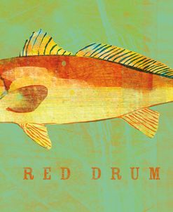 Red Drum