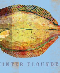 Winter Flounder