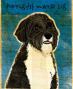 Portuguese Water Dog