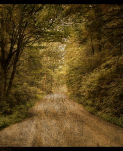 Flannery Fork Road No. 1