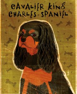 Cavalier King Charles (black and tan)