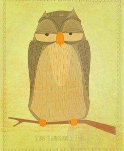 The Sensible Owl