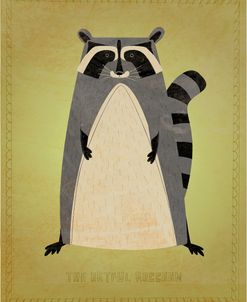 The Artful Raccoon