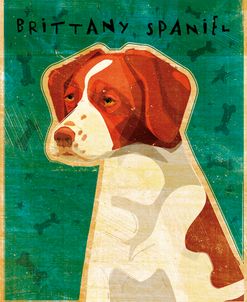 Brittany Spaniel