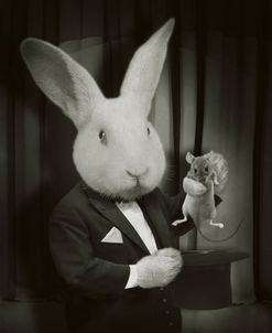 Rabbit Magician Bw