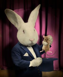 Rabbit Magician
