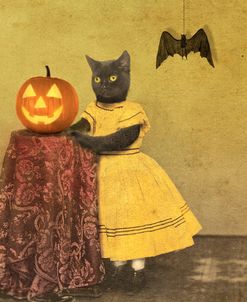 Pumpkin And Cat