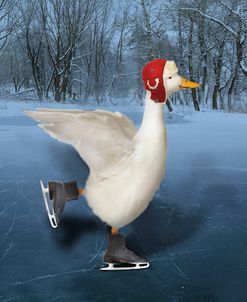 Duck Ice Skating