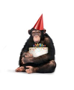 Birthday Monkey