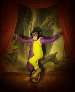 Circus – Monkey Riding Unicycle