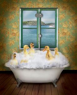 Ducks In Bath Tub