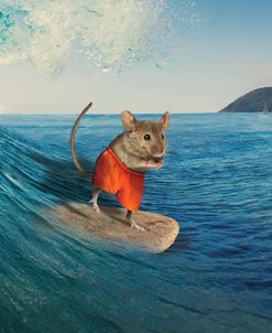Mouse Surfing