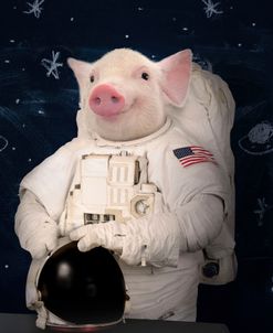 Pig-Astronaut