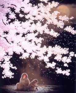 Falling Cherry Blossoms