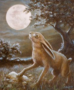 116 Moon Gazing Hare