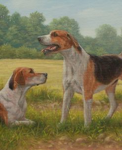 C962 Foxhound pair(L)