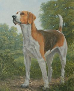 C1015 (L) Foxhound in Landscape