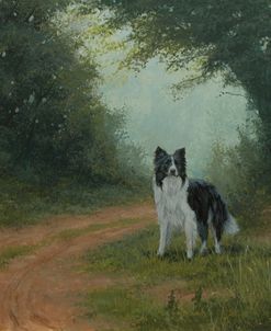 C1019 (L) Border Collie in Landscape