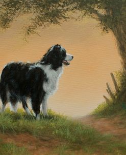 C1028 (L) Border Collie in Landscape