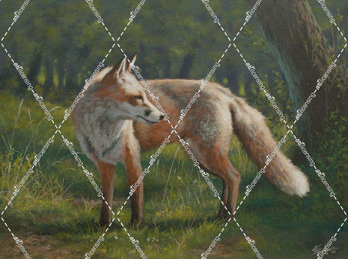 W774 (L) Fox in Landscape