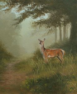 W783 (L) Red Deer in Landscape