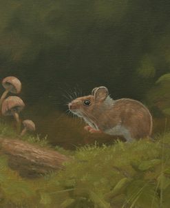 W785 (L) Wood Mouse in Foliage