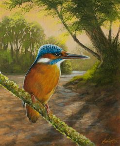 W791 (L) KingFisher in Landscape