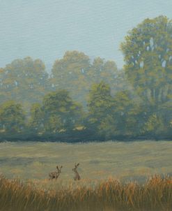 W777 (L) Hares in Landscape