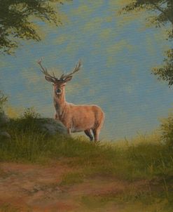 W778 (L) Red Deer in Landscape