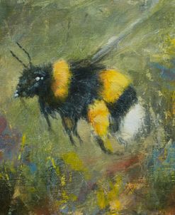 W856 Bumblebee