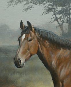 W850 Horse in Mist