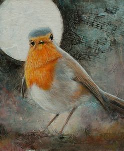 W1027 Robin Portrait