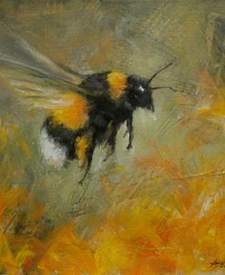 W1029 Bumblebee