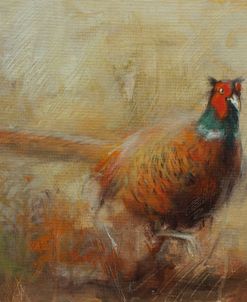 W1023 Pheasant