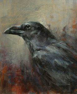 W1024 Raven