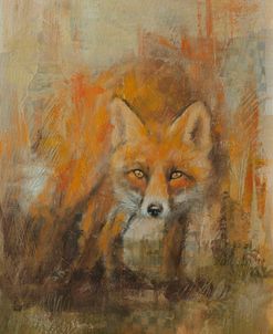 W1025 Fox Portrait