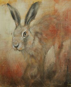 W1050 Hare Portrait