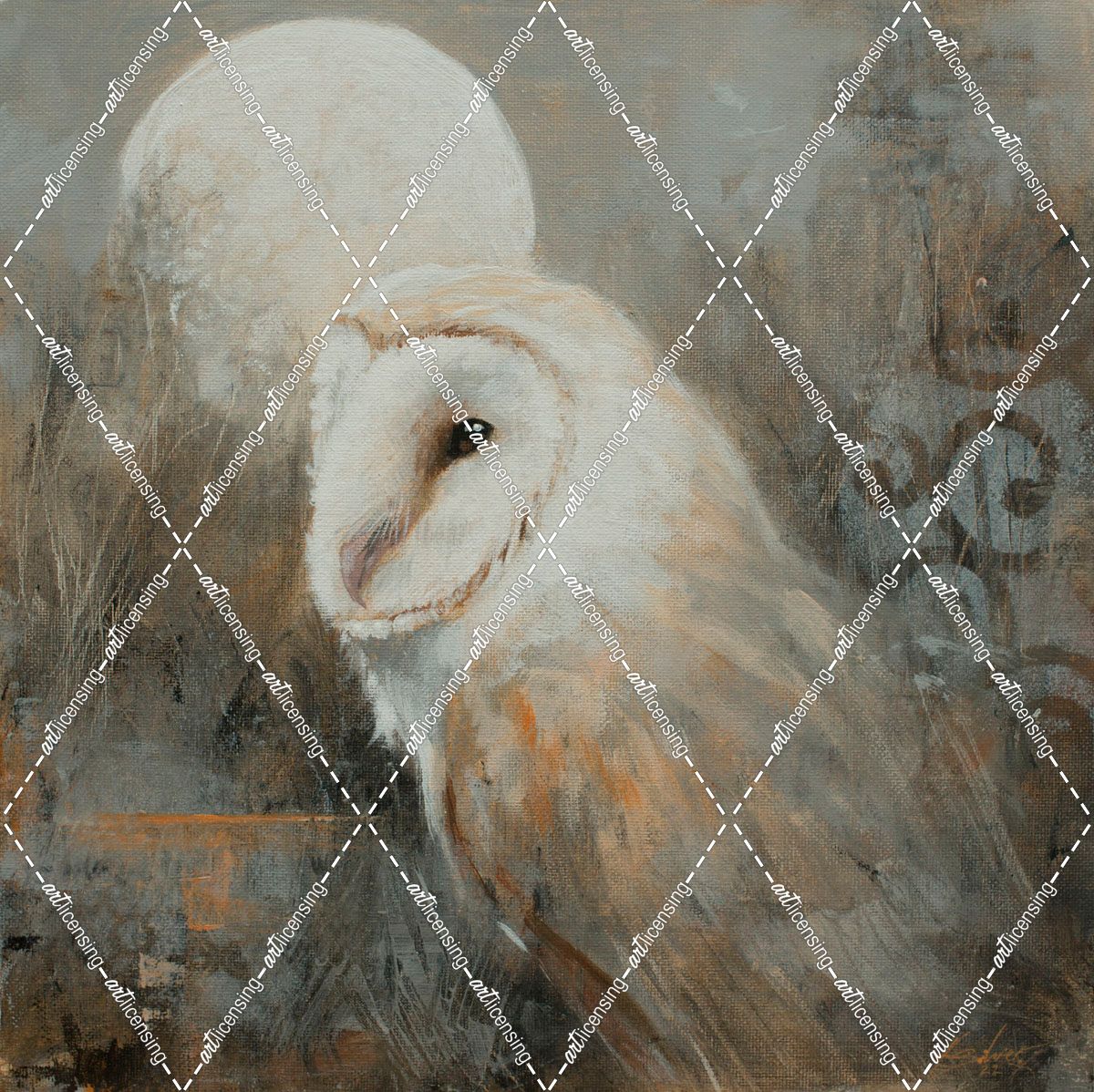 W1052 Barn Owl