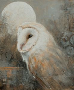 W1052 Barn Owl