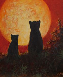 W1054 Cats and Moon