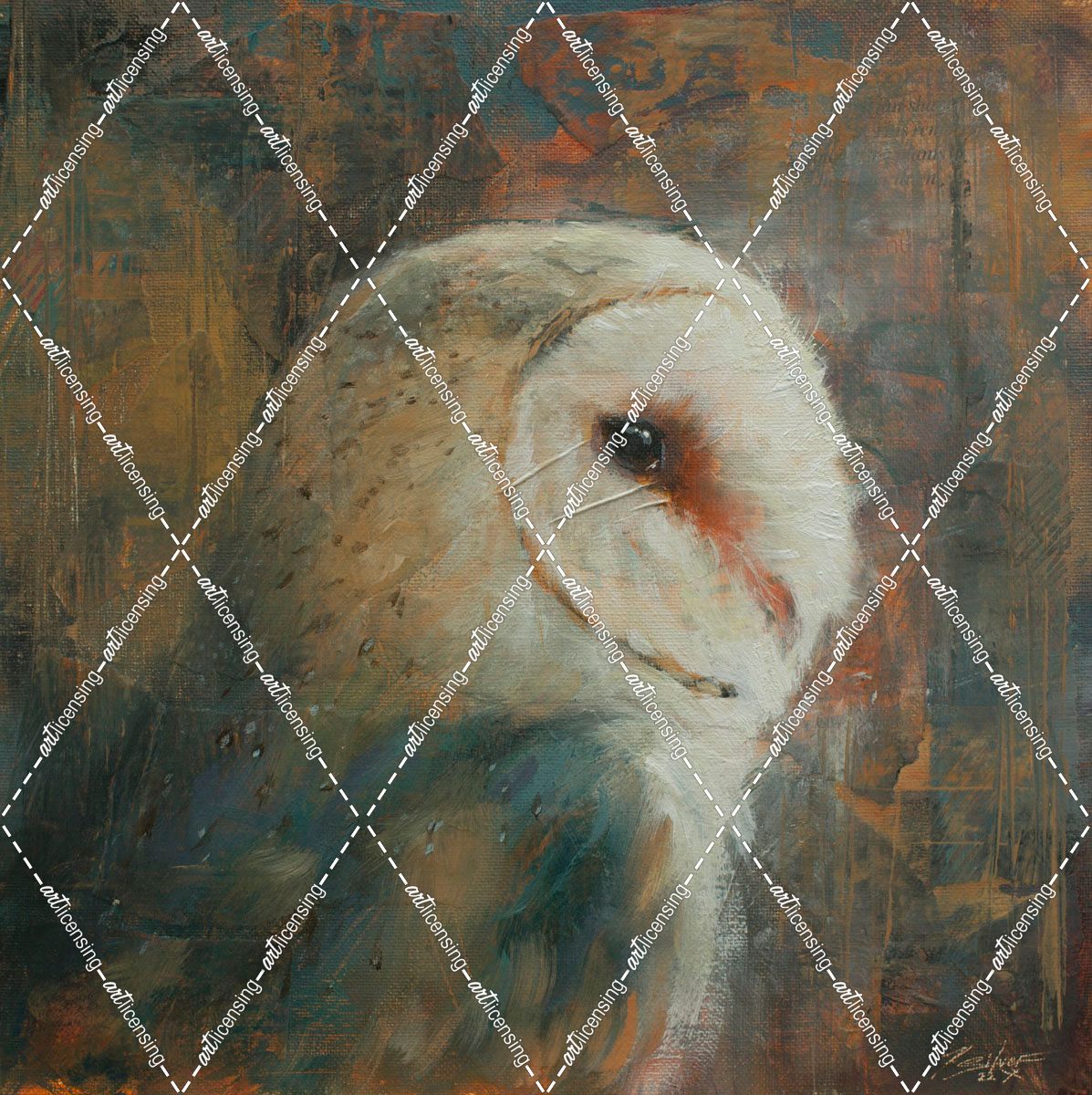 W1042 Barn Owl
