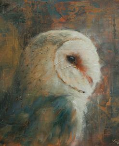 W1042 Barn Owl