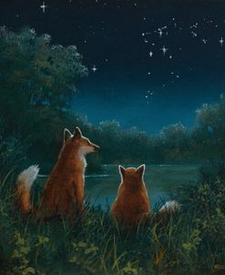W1080 Foxes and Stars vb