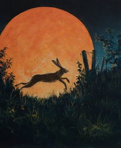 W1085 Hare and Moon