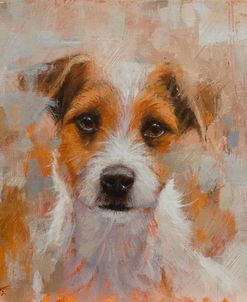 C1103 Jack Russell Portrait