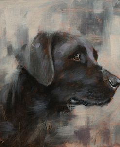 C1104 Black Labrador Portrait