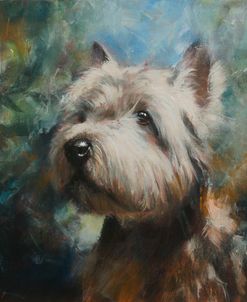 C1116 West Highland Terrier Portrait