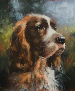 C1119 Springer Spaniel Portrait