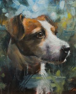 C1112 Jack Russell Portrait